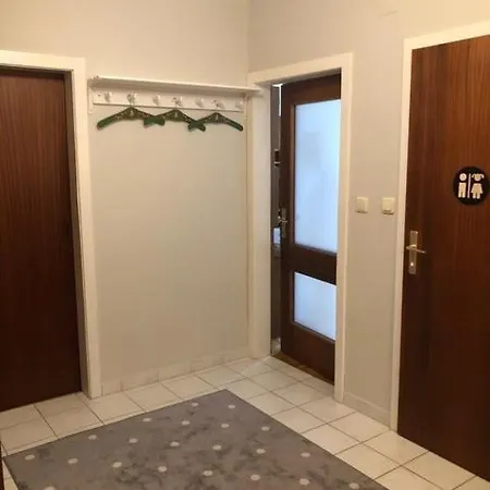 Alpenappartements Domicil By Hermann Weiss * ザールバッハ・ヒンターグレム