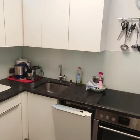 Alpenappartements Domicil By Hermann Weiss * ザールバッハ・ヒンターグレム