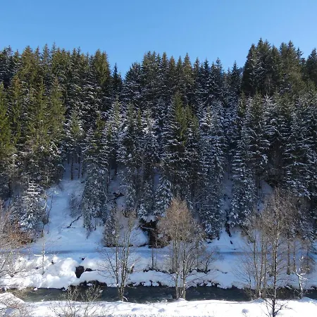 Apartment Alpenappartement Bartl Saalbach-Hinterglemm
