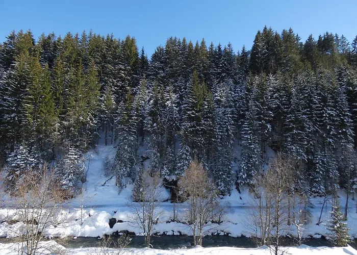 Appartamento Alpenappartements Domicil By Hermann Weiss Saalbach-Hinterglemm